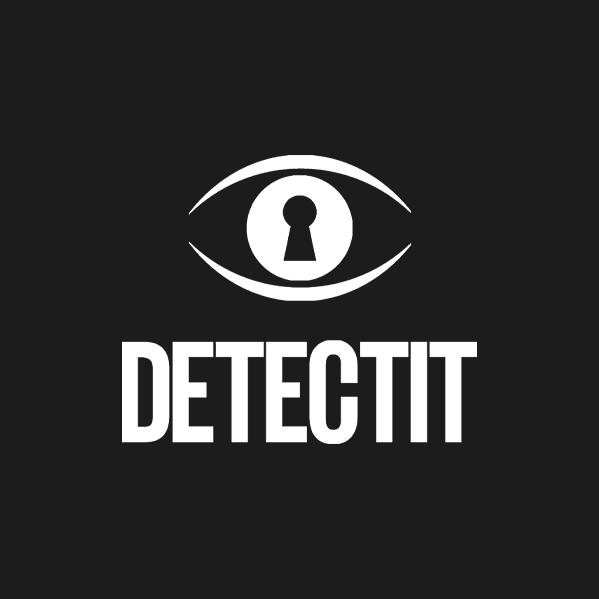 Организатор Detectit
